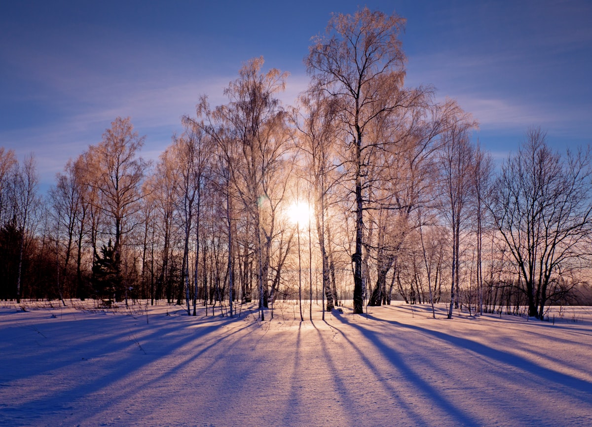 Are you getting enough vitamin D this winter?